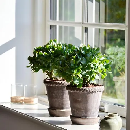 Kaergaard 3* 로스킬레