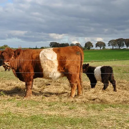 B&B Kaergaard 로스킬레