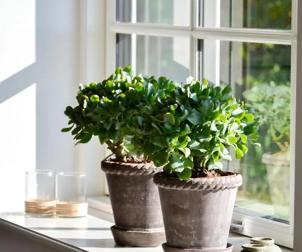 Kaergaard 3* Roskilde