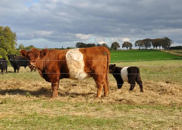 Bed & Breakfast Kaergaard Roskilde